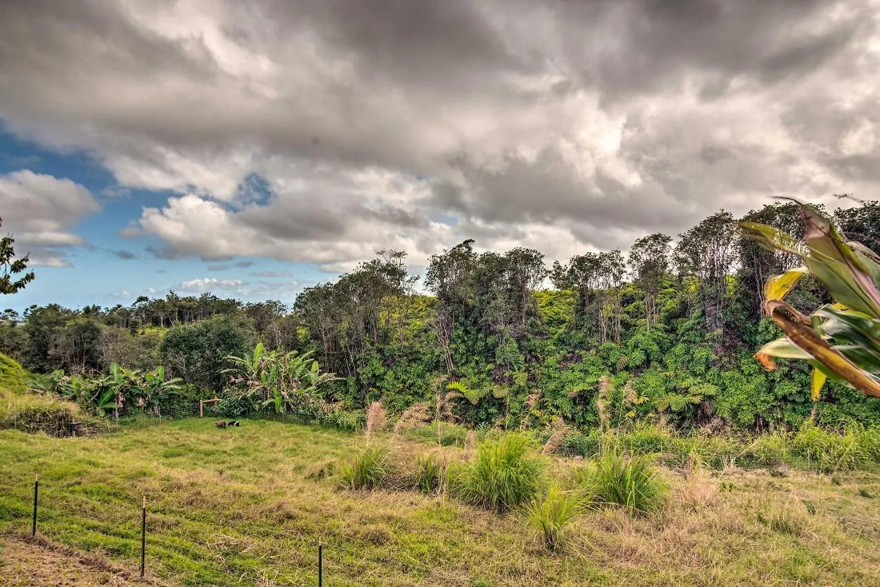 Hilo Couples Retreat About 6 Miles To Honolii Beach! USA